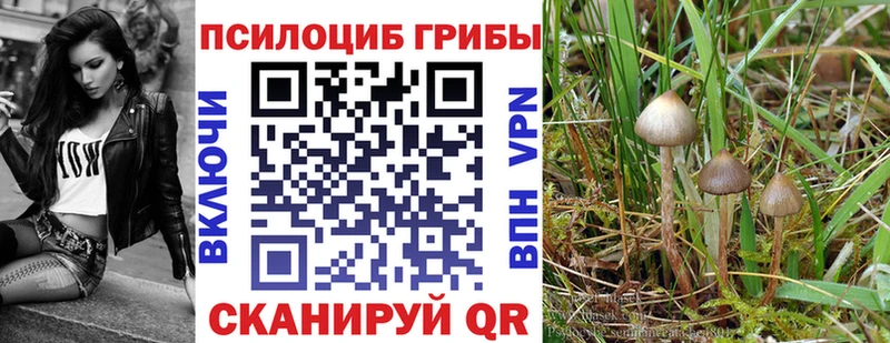 даркнет сайт  Малмыж  Галлюциногенные грибы Psilocybine cubensis 